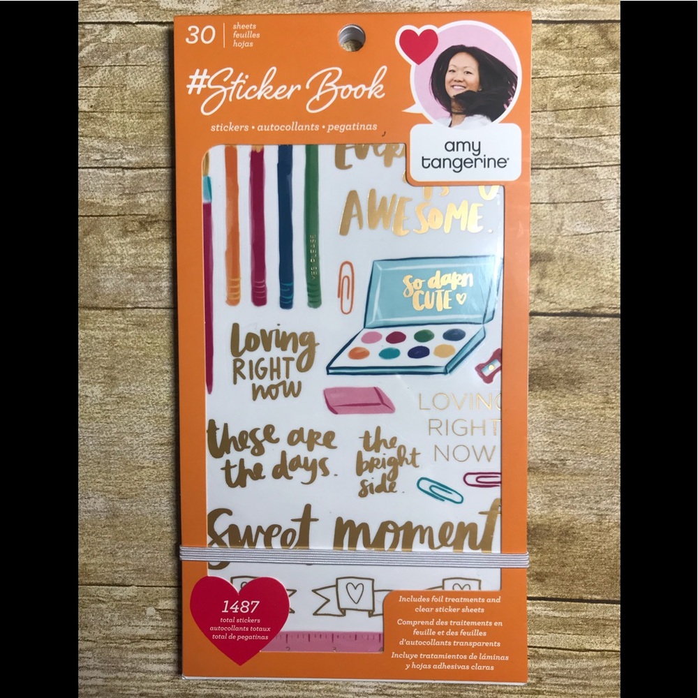 Amy Tangerine sticker book